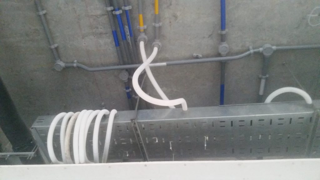 WhatsApp Image 2024-02-22 at 10.46.37 AM (1)