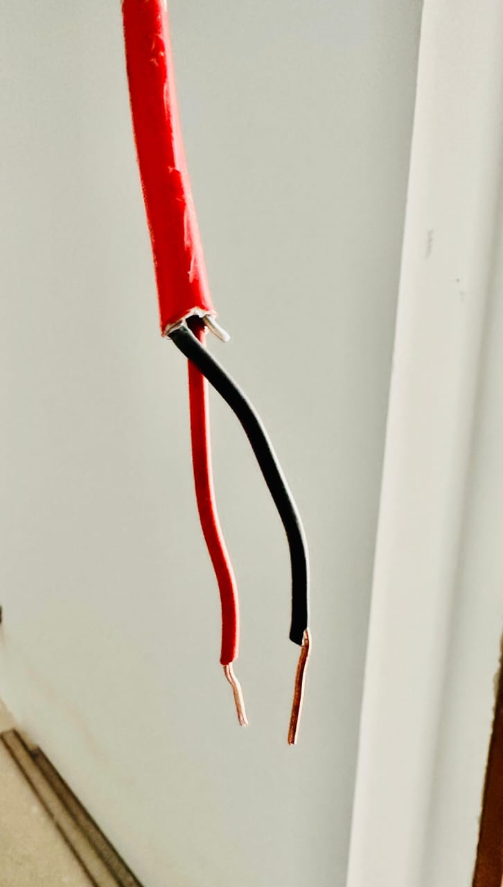 WhatsApp Image 2024-02-22 at 11.50.07 AM