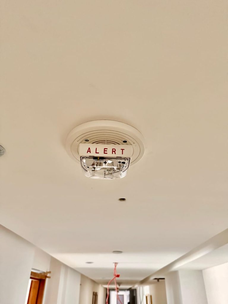 WhatsApp Image 2024-02-22 at 11.50.08 AM (1)