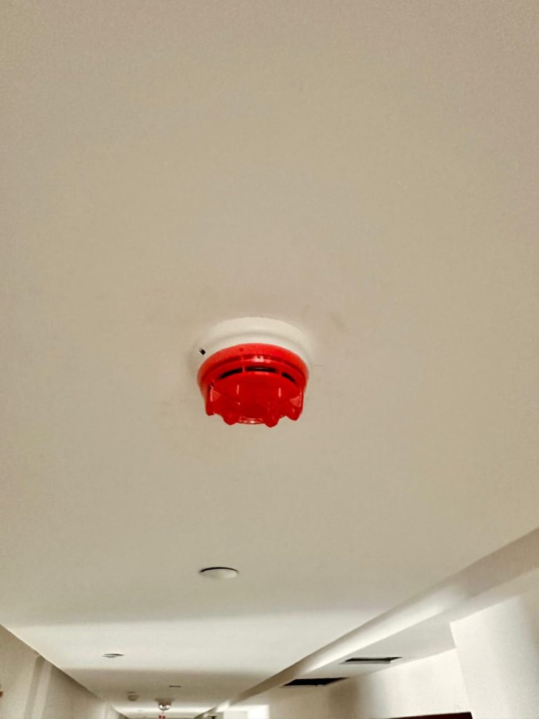 WhatsApp Image 2024-02-22 at 11.50.08 AM (2)