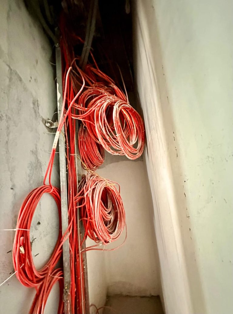 WhatsApp Image 2024-02-22 at 11.50.08 AM