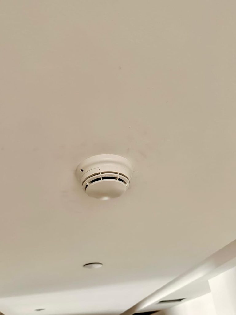 WhatsApp Image 2024-02-22 at 11.50.09 AM