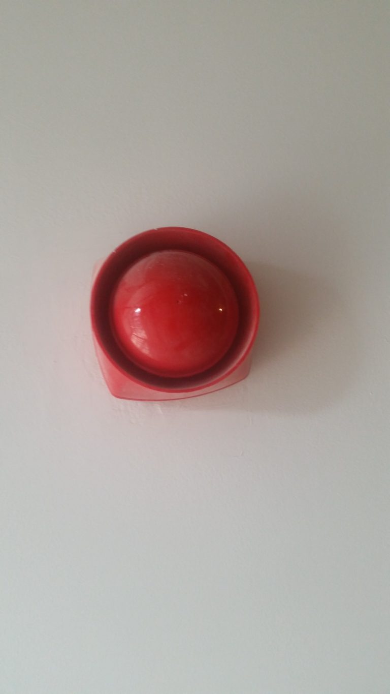 WhatsApp Image 2024-02-22 at 11.51.52 AM (1)