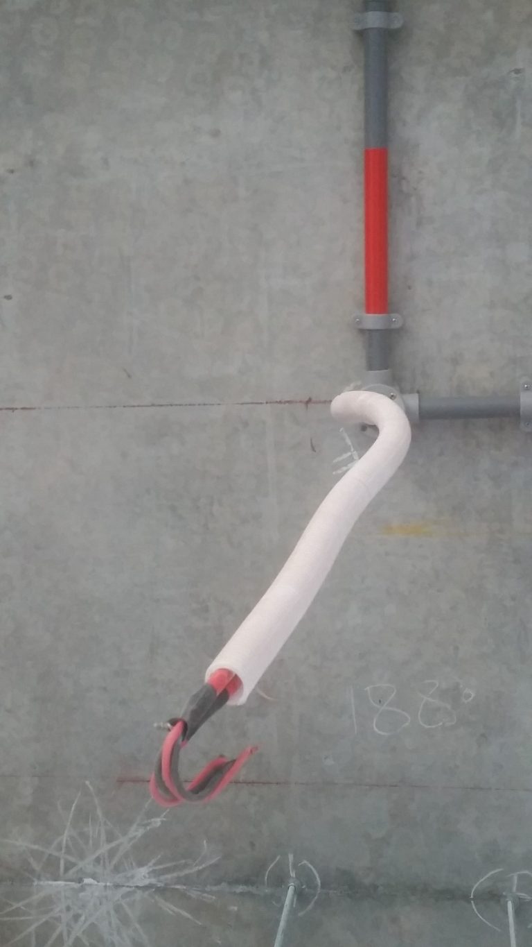 WhatsApp Image 2024-02-22 at 11.51.55 AM