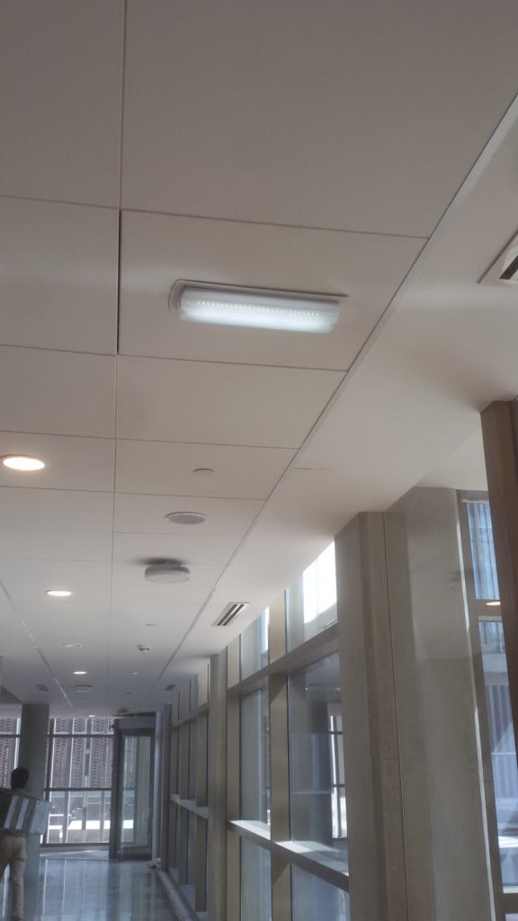 WhatsApp Image 2024-02-22 at 12.01.04 PM