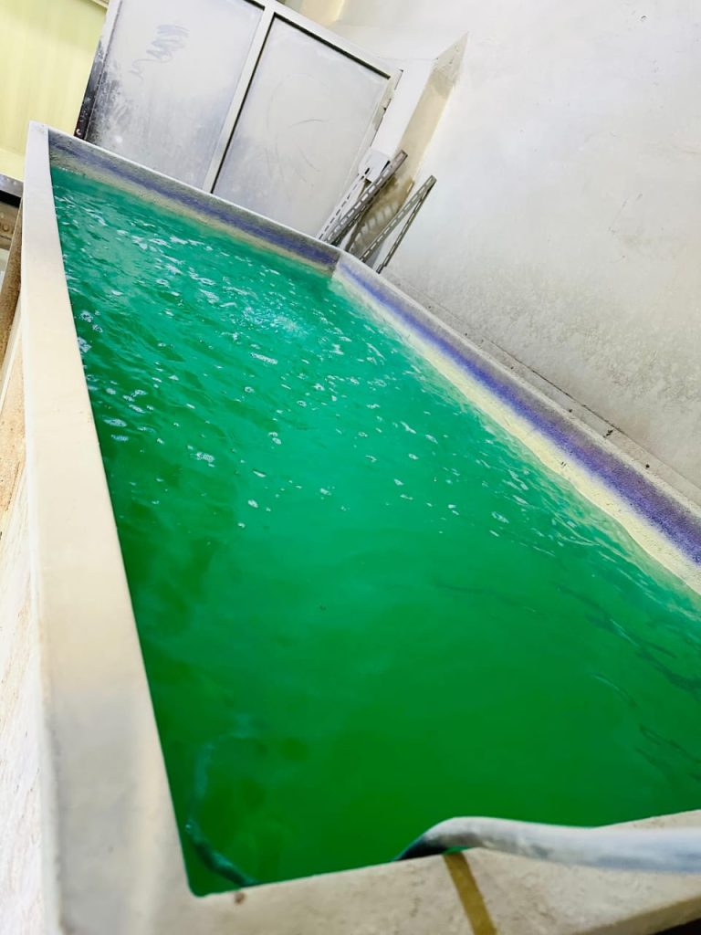 WhatsApp Image 2024-02-22 at 9.01.37 AM